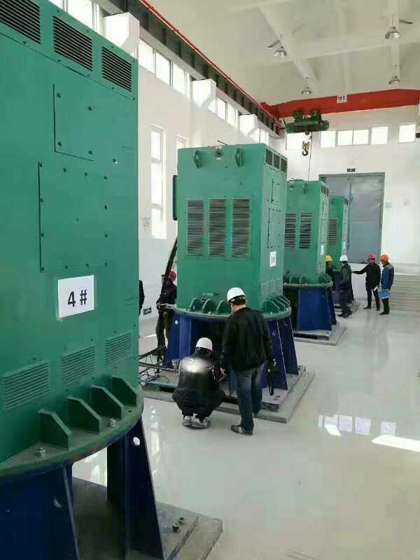 YKS5605-12某污水处理厂使用我厂的立式高压电机安装现场