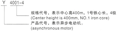 西安泰富西玛Y系列(H355-1000)高压YKS5605-12三相异步电机型号说明