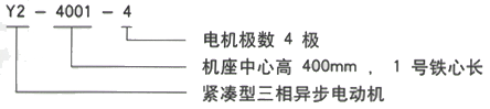 YR系列(H355-1000)高压YKS5605-12三相异步电机西安西玛电机型号说明